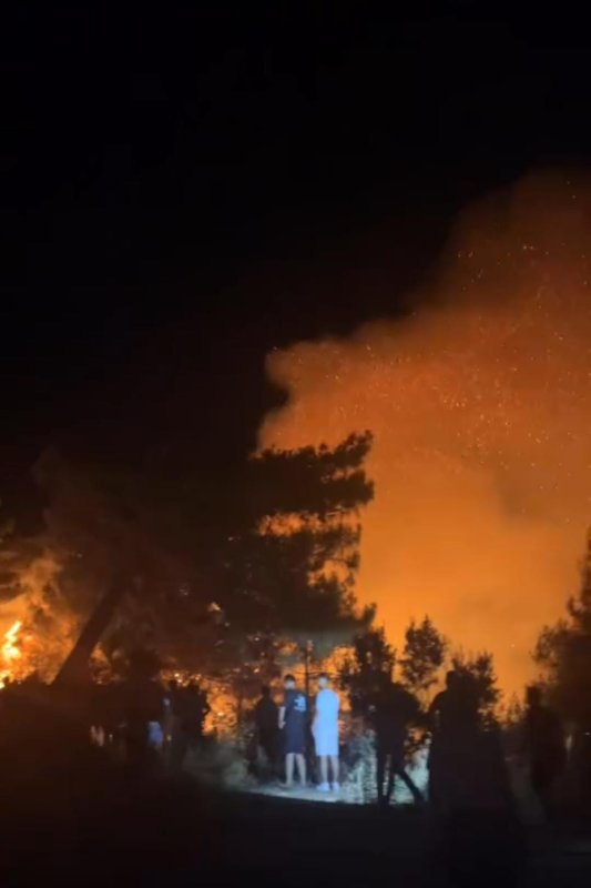 Hatay'da orman yangını