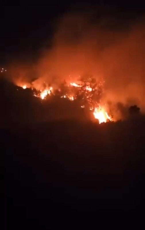 Hatay'da orman yangını