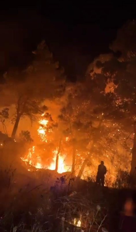 Hatay'da orman yangını