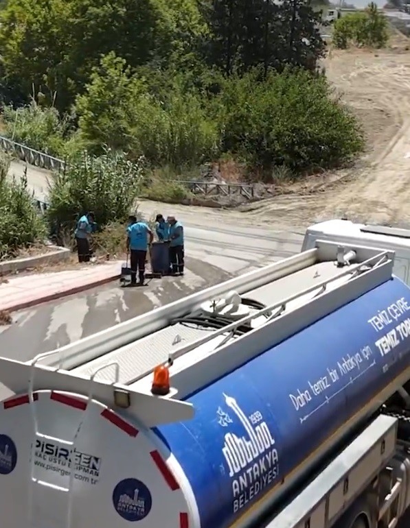 Antakyada yangından etkilenen bölgelerde hummalı temizlik çalışması