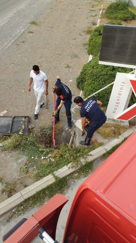 Rögara düşen yavru kediyi itfaiye ekipleri kurtardı