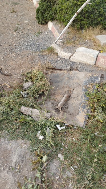 Rögara düşen yavru kediyi itfaiye ekipleri kurtardı