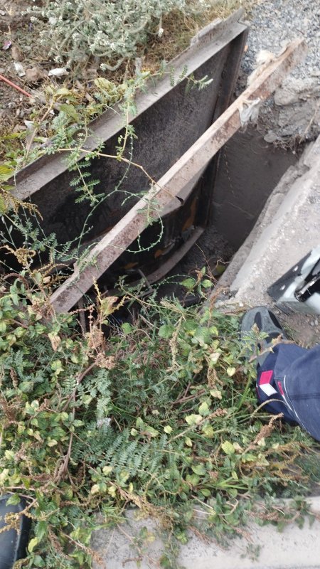 Rögara düşen yavru kediyi itfaiye ekipleri kurtardı