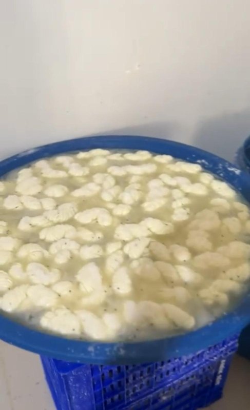 Hatay'da Sağlıksız Ürünler İmha Edildi