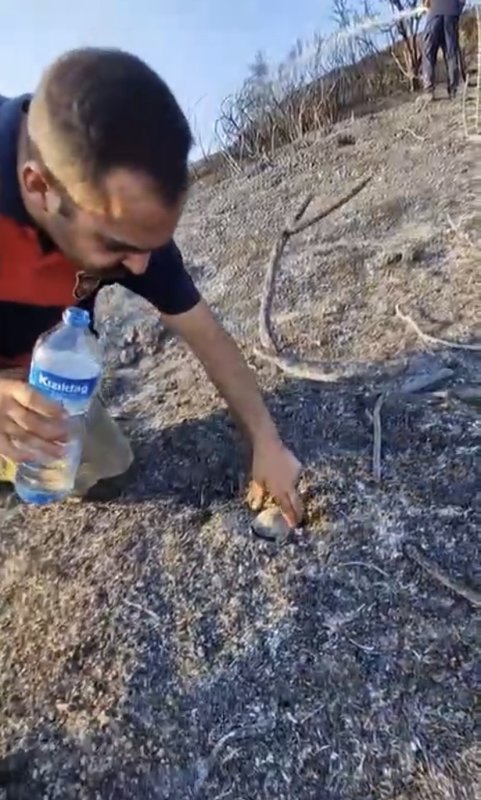 İtfaiyeciden, alevler içinde mahsur kalan kaplumbağaya can suyu