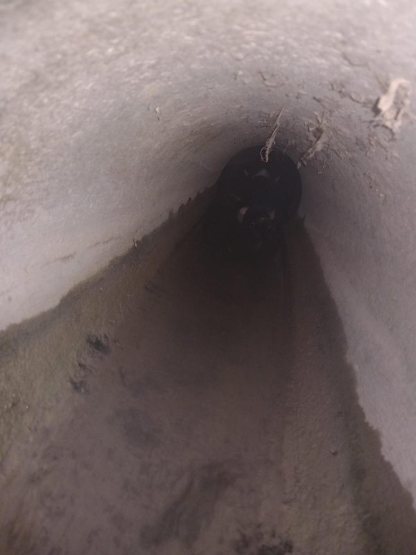 Kanalizasyon borusuna sıkışan yavru köpeği itfaiye kurtardı HATAY (İHA) - Hatay'ın Samandağ ilçesinde kanalizasyon borusuna sıkışan yavru sokak köpeği, itfaiye ekiplerince kurtarıldı. Olay, Samandağ ilçesine bağlı Kapısuyu Mahallesi Çevlik mevkisinde yaşandı. Akşam saatlerinde bir restoranın bulunduğu ara sokakta yavru sokak köpeği kanalizasyon borusunun içerisinde sıkışarak mahsur kaldı. Yavru köpeği fark eden çevredekiler, durumu itfaiye ekiplerine bildirdi. Kısa sürede bölgeye gelen Hatay Büyükşehir Belediyesi'ne bağlı Çevlik İtfaiye Timi ekipleri köpeği kurtardı. Sağlık durumu iyi olduğu belirlenen yavru köpek, yapılan kontrollerin ardından doğaya bırakıldı.