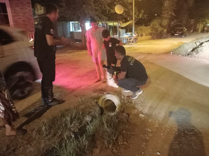 Kanalizasyon borusuna sıkışan yavru köpeği itfaiye kurtardı HATAY (İHA) - Hatay'ın Samandağ ilçesinde kanalizasyon borusuna sıkışan yavru sokak köpeği, itfaiye ekiplerince kurtarıldı. Olay, Samandağ ilçesine bağlı Kapısuyu Mahallesi Çevlik mevkisinde yaşandı. Akşam saatlerinde bir restoranın bulunduğu ara sokakta yavru sokak köpeği kanalizasyon borusunun içerisinde sıkışarak mahsur kaldı. Yavru köpeği fark eden çevredekiler, durumu itfaiye ekiplerine bildirdi. Kısa sürede bölgeye gelen Hatay Büyükşehir Belediyesi'ne bağlı Çevlik İtfaiye Timi ekipleri köpeği kurtardı. Sağlık durumu iyi olduğu belirlenen yavru köpek, yapılan kontrollerin ardından doğaya bırakıldı.