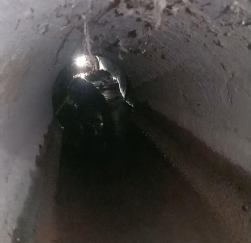 Kanalizasyon borusuna sıkışan yavru köpeği itfaiye kurtardı HATAY (İHA) - Hatay'ın Samandağ ilçesinde kanalizasyon borusuna sıkışan yavru sokak köpeği, itfaiye ekiplerince kurtarıldı. Olay, Samandağ ilçesine bağlı Kapısuyu Mahallesi Çevlik mevkisinde yaşandı. Akşam saatlerinde bir restoranın bulunduğu ara sokakta yavru sokak köpeği kanalizasyon borusunun içerisinde sıkışarak mahsur kaldı. Yavru köpeği fark eden çevredekiler, durumu itfaiye ekiplerine bildirdi. Kısa sürede bölgeye gelen Hatay Büyükşehir Belediyesi'ne bağlı Çevlik İtfaiye Timi ekipleri köpeği kurtardı. Sağlık durumu iyi olduğu belirlenen yavru köpek, yapılan kontrollerin ardından doğaya bırakıldı.