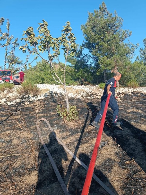 Hatay’da orman yangını büyümeden kontrol altına alındı