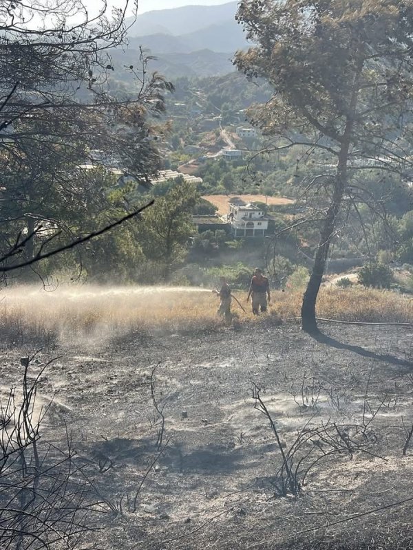 Hatay’da orman yangını büyümeden kontrol altına alındı
