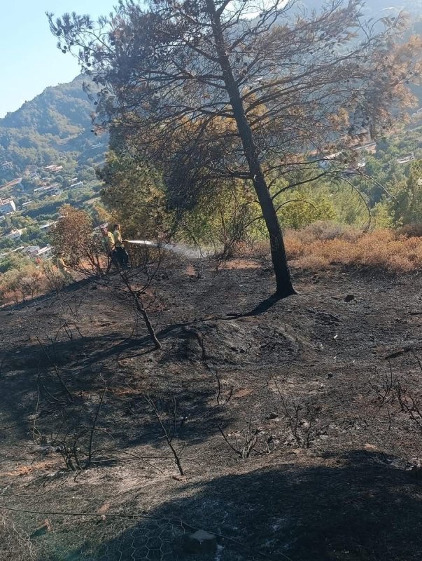 Hatay’da orman yangını büyümeden kontrol altına alındı