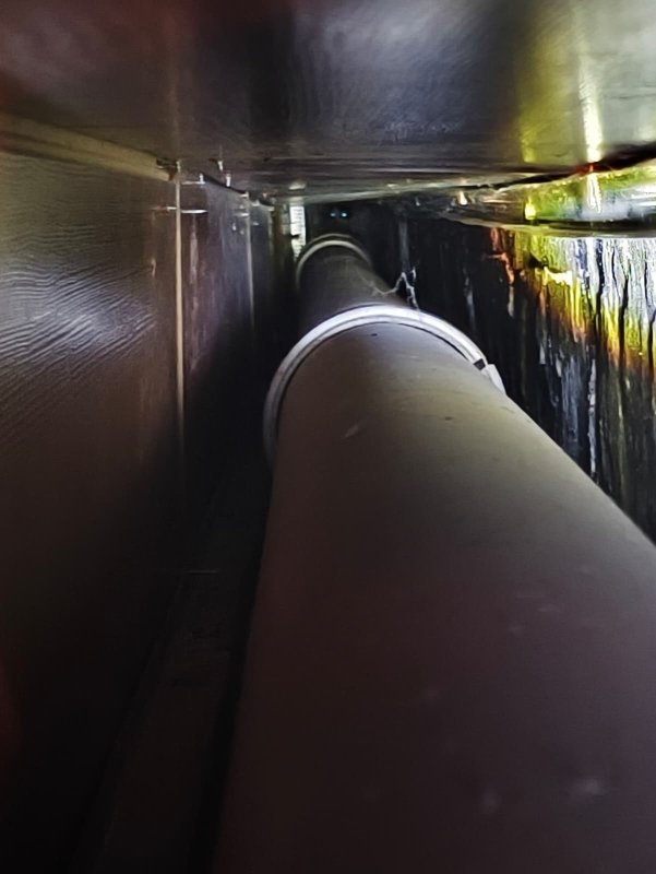 Dükkan kapanmadan önce duyulan ‘miyavlama’ sesi yavru kedinin hayatını kurtardı