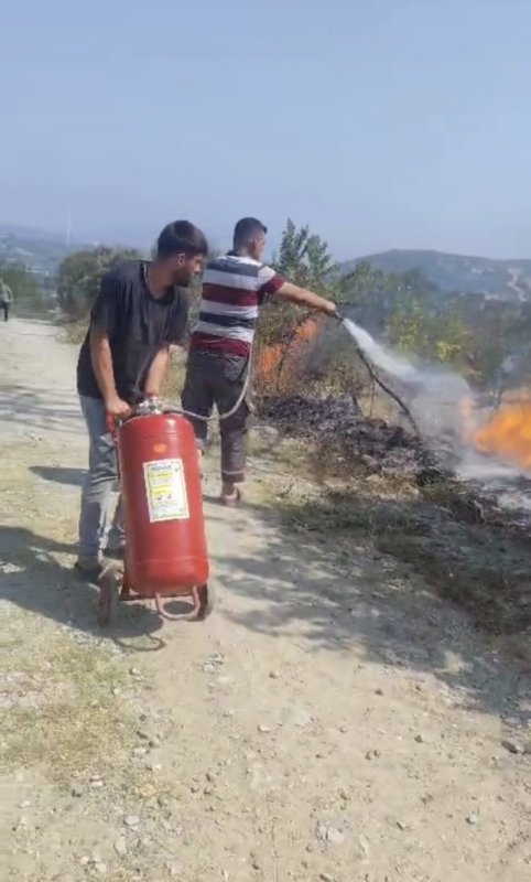 Hatay'da sıcaktan kopan elektrik teli yangına neden oldu