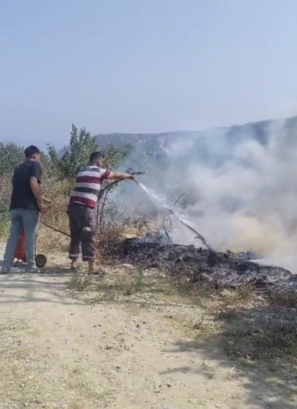 Hatay'da sıcaktan kopan elektrik teli yangına neden oldu