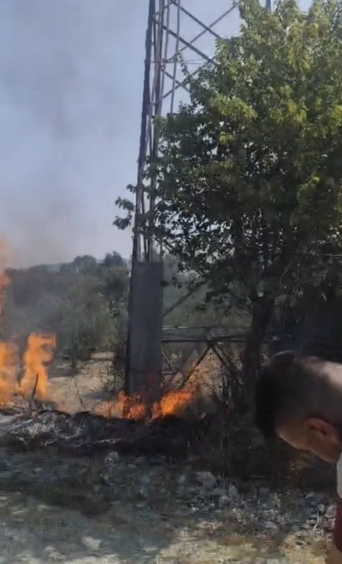 Hatay'da sıcaktan kopan elektrik teli yangına neden oldu