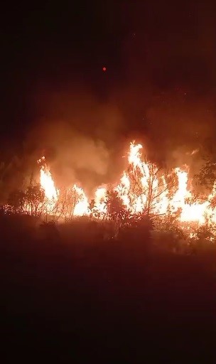 Hatay'da orman yangını sürüyor... Alevlere müdahale 10. saatte devam ediyor (Fotoğraflı - Görüntülü) Arzu Kübra Doğan HATAY (İHA) - Hatay’da çıkan orman yangınına müdahale 10. saatte gece karanlığında devam ediyor. Yangın, saat 15.30 sıralarında Yayladağı ilçesi Arslanyazı Mahallesi'nde ormanlık alanda çıktı. Alevlere Hatay Valiliği koordinesinde; Orman Bölge Müdürlüğü, Hatay Büyükşehir Belediyesi, AFAD, destek illerin ekipleri, Yayladağı Belediyesi ile TAMP kapsamında görevli kurum ve kuruluşların personelleri ile müdahale devam ediyor. Olay yerinde alevlere müdahale eden 69 araç ve yaklaşık 200 personel bulunuyor. Öte yandan gündüz saatlerinde yangına 2 askeri helikopter müdahale etti. Ekiplerin 10. saatte müdahaleye devam ettiği yangında alevlerin günün ağarmasıyla kontrol altına alınması bekleniyor.