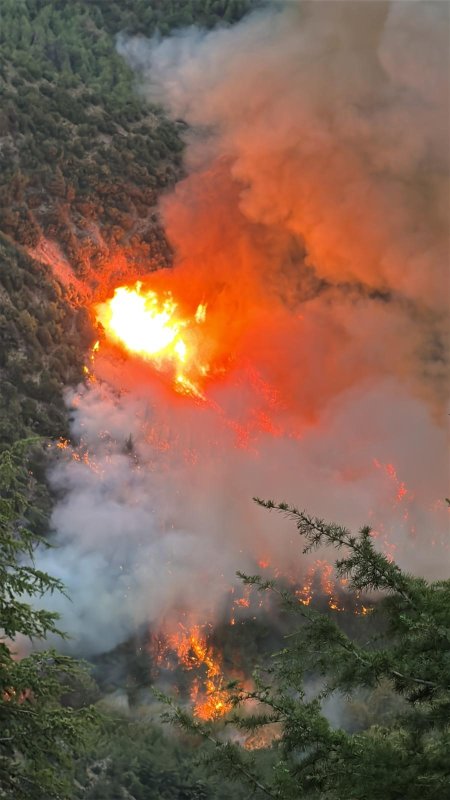 Hatay'da orman yangını (Fotoğraflı) Yakup Söylemez HATAY (İHA) - Hatay'da ormanlık alanda yangın çıktı. Yangınına ekiplerin müdahalesi sürüyor. Yangın, Hassa ilçesi Yukarıbucak Mahallesi'nde ormanlık çıktı. Yangının çıktığı bölgedeki ormanlık alan kısa sürede alevlere teslim oldu. Alevlerin fark edilmesi üzerine bölgeye Orman Bölge Müdürlüğü ve itfaiye ekipleri sevk edildi. Ekipler yangına müdahaleye karadan başladı.