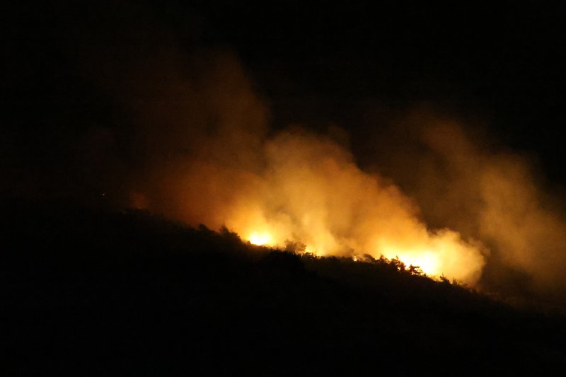 Hatay’da orman yangını