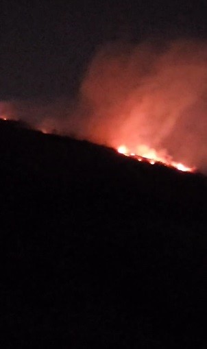 Hatay'da ormanlık alanda çıkan yangın büyümeden söndürüldü (Fotoğraflı - Görüntülü) Arzu Kübra Doğan HATAY (İHA) - Hatay'ın Antakya ilçesi çıkan orman yangını büyümeden söndürüldü. Yangın, Antakya ilçesi Narlıca Mahallesi'nde saat 22.56'da meydana geldi. Mahallede bulunan ormanlık alanda yangın çıktı. Ormanlık alanın yandığını fark eden vatandaşların ihbarı üzerine Hatay Büyükşehir Belediyesi'ne bağlı itfaiye ve Orman Bölge Müdürlüğü ekipleri sevk edildi. Ekiplerin hızlı müdahalesinin ardından saat 23.42 itibariyle orman yangını büyümeden kontrol altına alındı. Ekipler ormanlık alanda soğutma çalışması devam ediyor.