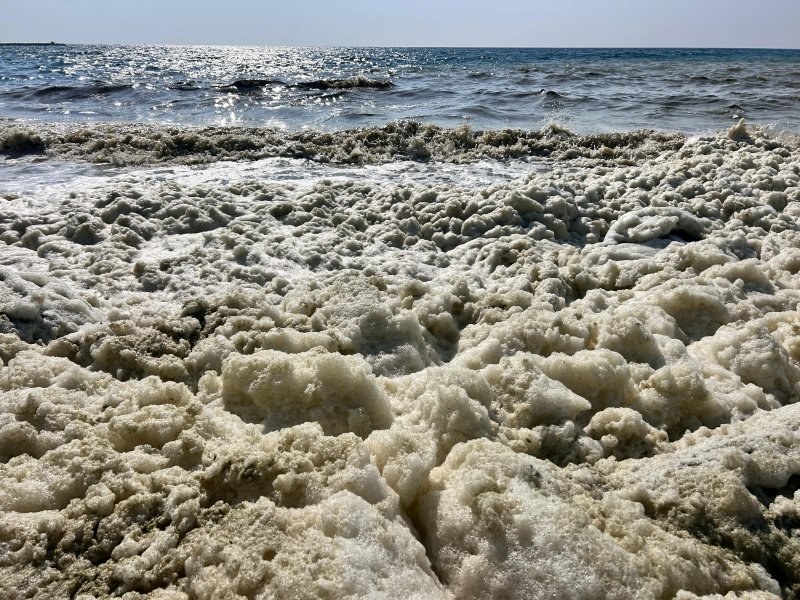 İSTE’DEN KÖRFEZE BİLİMSEL İNCELEME