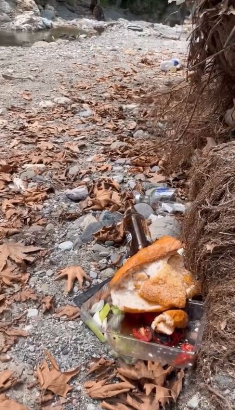 Dörtyol Belediye Başkanı Dr. Bahadır Amaç, doğaya duyarlılığı ve çevre bilincini ön plana çıkaran bir etkinlik sonrasında önemli açıklamalarda bulundu.