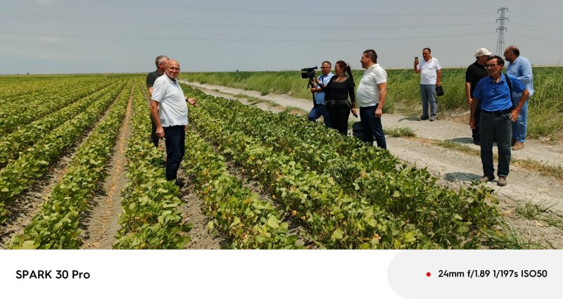 HATAYLI ÇİFTÇİLERDEN SU İSYANI: “HATAY’IN TOPRAKLARI SUSUZLUKTAN KURUYOR“