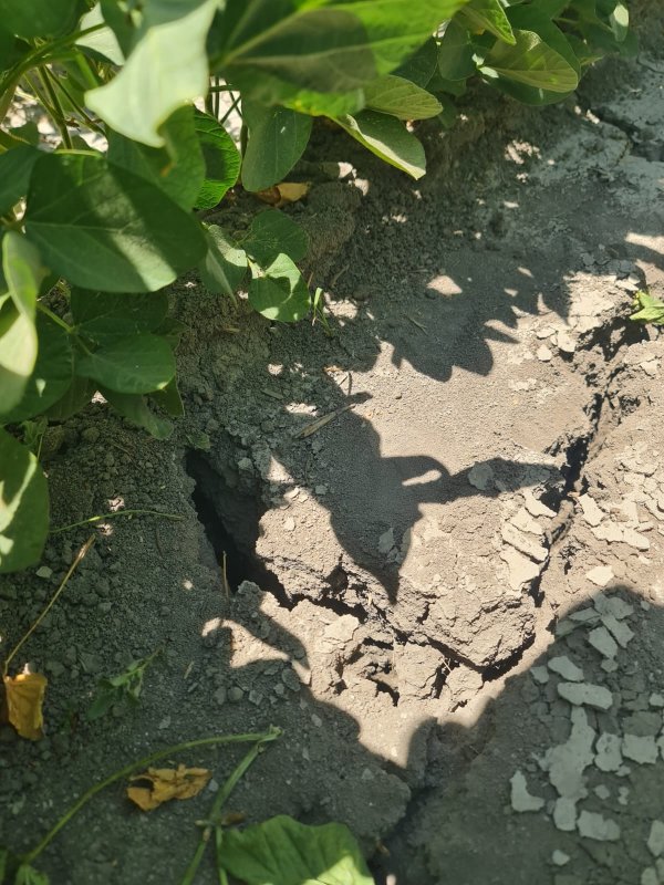 HATAYLI ÇİFTÇİLERDEN SU İSYANI: “HATAY’IN TOPRAKLARI SUSUZLUKTAN KURUYOR“