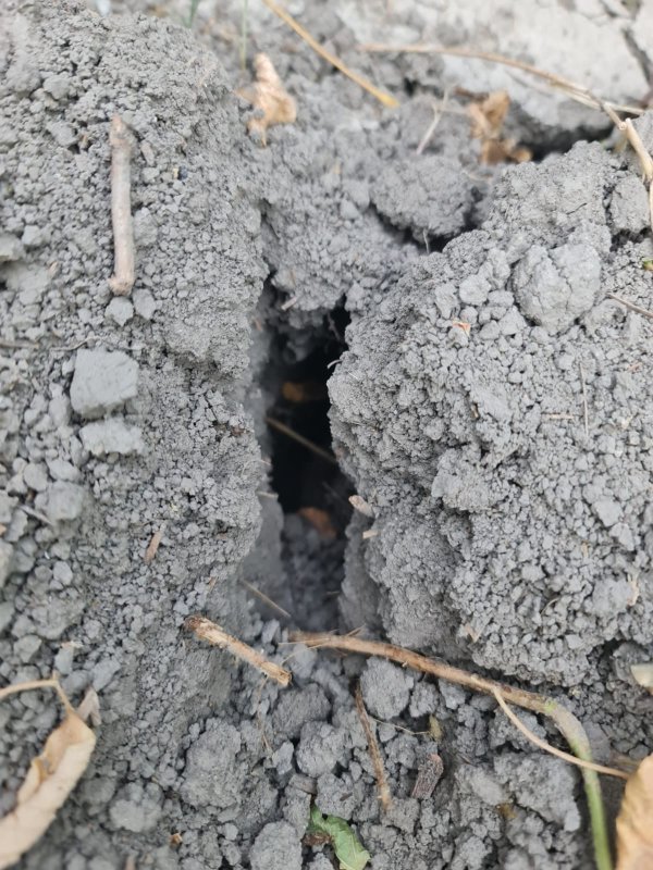 HATAYLI ÇİFTÇİLERDEN SU İSYANI: “HATAY’IN TOPRAKLARI SUSUZLUKTAN KURUYOR“