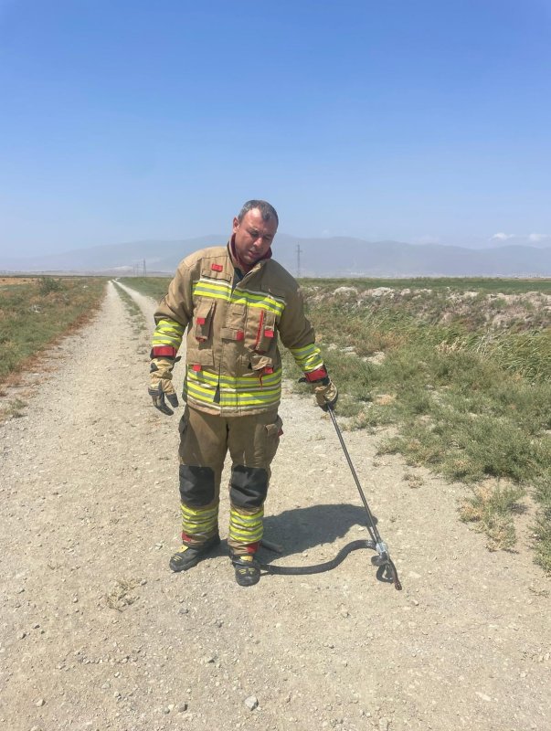 Hatay’da yerleşim yerlerine giren yılanları itfaiye yakaladı