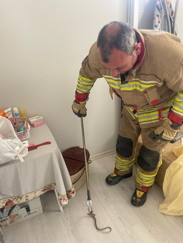 Hatay’da yerleşim yerlerine giren yılanları itfaiye yakaladı