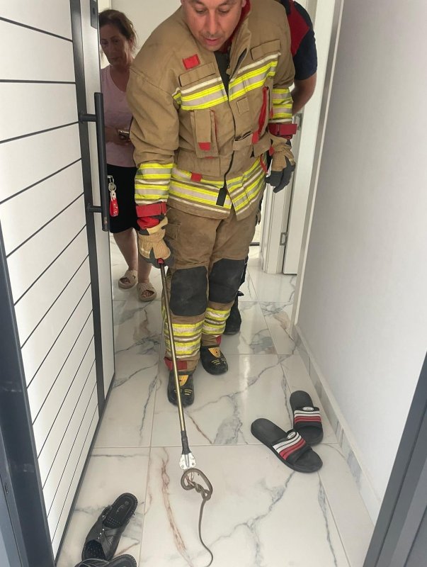 Hatay’da yerleşim yerlerine giren yılanları itfaiye yakaladı