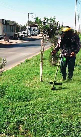 ÇELİK: YEŞİL KIRIKHAN, TEMİZ KIRIKHAN!