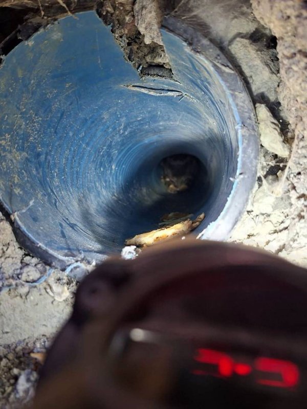 Kuyuya düşen yavru köpek kurtarıldı (Fotoğraflı) Cemal Kılınç HATAY (İHA) - Hatay’da kuyuya düşerek mahsur kalan köpeği itfaiye kurtardı. Samandağ ilçesi Sutaşı Mahallesi’nde kuyudan köpek sesi geldiğini fark eden vatandaşlar durumu itfaiye ekiplerine bildirdi. İhbar üzerine bölgeye gelen itfaiye ekipleri kurtarma çalışması başlattı. Yavru köpek, itfaiye ekipleri tarafından kurtarıldı.