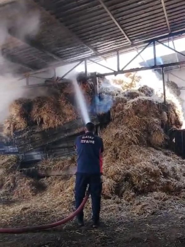 Reyhanlı'da samanlık yangını (Fotoğraflı) Cemal Kılınç HATAY (İHA) - Hatay’ın Reyhanlı ilçesinde bir ahırda yaşanan samanlık yangını geniş alana sıçramadan itfaiye ekipleri tarafından söndürüldü. Yangın, Reyhanlı ilçesi Mustafa Kemal Mahallesi’nde meydana geldi. Bir ahırda meydana gelen samanlık yangınını fark eden çevredeki vatandaşların 112’yi araması üzerine bölgeye itfaiye ekipleri sevk edildi. Olay yerine ulaşan itfaiye ekipleri yangını kısa sürede söndürdü. Yangının söndürülmesinin ardından soğutma çalışması gerçekleştirildi.