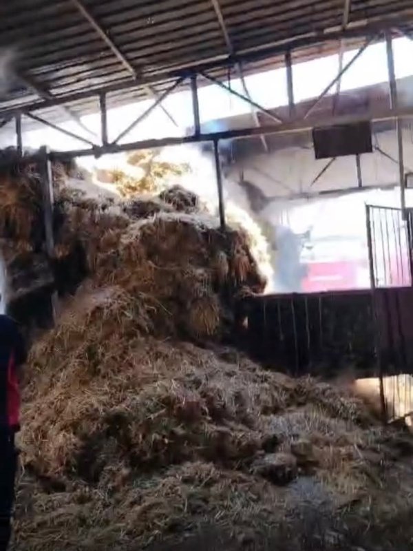 Reyhanlı'da samanlık yangını (Fotoğraflı) Cemal Kılınç HATAY (İHA) - Hatay’ın Reyhanlı ilçesinde bir ahırda yaşanan samanlık yangını geniş alana sıçramadan itfaiye ekipleri tarafından söndürüldü. Yangın, Reyhanlı ilçesi Mustafa Kemal Mahallesi’nde meydana geldi. Bir ahırda meydana gelen samanlık yangınını fark eden çevredeki vatandaşların 112’yi araması üzerine bölgeye itfaiye ekipleri sevk edildi. Olay yerine ulaşan itfaiye ekipleri yangını kısa sürede söndürdü. Yangının söndürülmesinin ardından soğutma çalışması gerçekleştirildi.