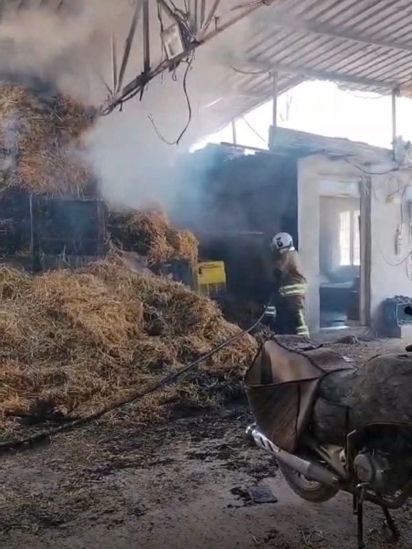 Reyhanlı'da samanlık yangını (Fotoğraflı) Cemal Kılınç HATAY (İHA) - Hatay’ın Reyhanlı ilçesinde bir ahırda yaşanan samanlık yangını geniş alana sıçramadan itfaiye ekipleri tarafından söndürüldü. Yangın, Reyhanlı ilçesi Mustafa Kemal Mahallesi’nde meydana geldi. Bir ahırda meydana gelen samanlık yangınını fark eden çevredeki vatandaşların 112’yi araması üzerine bölgeye itfaiye ekipleri sevk edildi. Olay yerine ulaşan itfaiye ekipleri yangını kısa sürede söndürdü. Yangının söndürülmesinin ardından soğutma çalışması gerçekleştirildi.