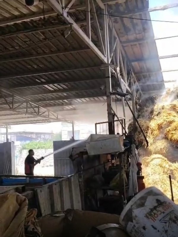 Reyhanlı'da samanlık yangını (Fotoğraflı) Cemal Kılınç HATAY (İHA) - Hatay’ın Reyhanlı ilçesinde bir ahırda yaşanan samanlık yangını geniş alana sıçramadan itfaiye ekipleri tarafından söndürüldü. Yangın, Reyhanlı ilçesi Mustafa Kemal Mahallesi’nde meydana geldi. Bir ahırda meydana gelen samanlık yangınını fark eden çevredeki vatandaşların 112’yi araması üzerine bölgeye itfaiye ekipleri sevk edildi. Olay yerine ulaşan itfaiye ekipleri yangını kısa sürede söndürdü. Yangının söndürülmesinin ardından soğutma çalışması gerçekleştirildi.