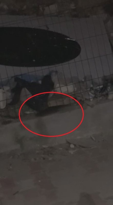 Defne Belediyesi'nin kaçak dökümlere 'Dur' diyememesi, sokakta moloz dağları oluşmasına neden oldu - Defne Belediyesi bina sakinlerinden 300 bin TL aldı ama 1 buçuk yıldır molozları kaldırılmadı (Fotoğraflı) Ramazan İlın - Veysel Korkmaz HATAY (İHA) - Hatay'ın Defne ilçesinde depremde hasar gören ve güçlendirme çalışmaları tamamlanan binanın sakinleri, Defne Belediyesi'ne çevre temizleme harcı adı altında 300 bin TL ödediklerini iddia ederek 1 buçuk yıldır bina çevresindeki molozların kaldırılmadığını öne sürdüler. Öte yandan, bölgede belediye ekiplerinin kaçak moloz dökümlerinin önüne geçememesiyse sokakta moloz dağları oluşmasına neden oldu. Kahramanmaraş merkezli depremde Hatay'da binlerce bina yerle bir olurken enkazları kaldırma işlemleri tamamlanmış ve kentte inşa süreci başlamıştı. Defne ilçesi Çekmece Mahallesi 349. Sokakta yer alan 22 daireli Mehmet Dönmez apartmanı 6 Şubat depremini az hasarlı olarak atlattı ve depremin ardından bina sakinleri tarafından güçlendirme çalışmaları yapıldı. Onarım çalışmalarının ardından binadan çıkan molozları kaldırmak için bina sakinleri tarafından Defne Belediyesi'ne çevre temizleme harcı olarak 300 bin TL ücret ödediklerini iddia ettiler. Defne Belediyesi'ne ödenen harç parasının üzerinden 1 buçuk yıldan fazla geçmesine rağmen binanın çevresindeki molozlar kaldırılmadı. Bölgedeki molozları gören duyarsız vatandaşlarsa kendilerine ait molozları araçlarla gelip sokak üzerindeki boş arazilere döktüler. Moloz yığınlarıyla dolan ve moloz dağlarının oluştuğu sokakta sokak hayvanları başta olmak üzere fare başta olmak üzere çeşitli hayvanlar cirit atıyor. Binanın çevresindeki molozlardan dolayı rahatsız olan bina sakini Ömer Faruk Yıldız, Defne Belediyesi'nden 300 bin TL karşılığında molozların kaldırılmasını istiyorlar. "Defne Belediyesi zabıta ekipleri geziyor fakat burada herhangi bir döküm olduğunda müdahale etmiyorlar" Defne Belediyesi tarafından çevre temizleme harcı olarak 300 bin TL alınmasına rağmen hiçbir çevre temizliği yapılmadığını söyleyen Ömer Faruk Yıldız, "Bu oturduğumuz bina yaklaşık 8 yıldır burada ve 6 Şubat depreminden sonra güçlendirme çalışması yapıldı. Güçlendirme çalışmasını yaptıktan sonra binaya ruhsat alma amacıyla Defne Belediyesi'ne 300 bin TL harç ödedik. Çevre temizleme harcı adı altında bu ücreti aldılar. Fakat ödediğimiz günden bu yana 1,5 yıldan fazla olmasına rağmen hiçbir şekilde gelip temizlemediler. Birçok başvurum var. Kendi internet siteleri üzerinden, telefon üzerinden Defne Belediyesi'ne başvurular yaptım. Geri dönüş olarak hiçbir şekilde işlem yapmadılar. Geri dönüş olarak çevresindeki molozları dökenlerin kaldırılmasını gerektiğini söylüyorlar fakat bizi güçlendirme aşamasındayken binamızdan çıkan molozların kendileri tarafından kaldırılacağını beyan ettiler. Şu anda ne bizim molozlarımızı ne sokaktaki pisliği ne de diğer molozları kimse kaldırmıyor. Şu anda sokak harabe durumda, akşamları hurdacılar gelip demirleri, binamızın kapılarını, çitlerinin çalıyorlar. Binada hırsızlık olayları olmaya başladı. Mağdur durumdayız. Burası 22 daireli bina. Burası Defne Çekmece Mahallesi 349'uncu sokak da sorun var. Defne Belediyesi zabıta ekipleri geziyor fakat burada herhangi bir döküm olduğunda müdahale etmiyorlar. Güvenlik sorunu olduğunu ben daha önceden başvuru yaptım" dedi. "Defne Belediyesi'nden burasını düzeltmesini istiyoruz ve paramızın karşılığını istiyoruz" Defne Belediyesinden bina çevresindeki molozların kaldırılmasını istediklerini ifade eden Ömer Faruk Yıldız, "Buraya belediye bünyesinde bulunan kameralardan konulmasını talep ettim. Çünkü artık o kadar bina yıkıntısı oldu ki burada moloz döküm sahası gibi gözüküyor. Burası depremden önce şehrin en işlek noktalarından biriydi ve şu anda bir kenar mahalle durumuna düştü. Hiçbir şekilde yatırım da gelmiyor. Belediye kontrol edemiyor artık kontrolünden çıktı. Genelde yıkıntıdan kalan burada binalar vardı. Onun yıkıntısından kalan molozlar ve haricen buraya getirdiler. Moloz döktüler. Bunları belediye kendi bünyesinde kaldırması gerekiyor. Fakat gelip kaldıran yok. Şikayetlerim mevcut ve e devlet üzerinden kendi internet siteleri üzerinden dönüş olarak hiçbir şekilde gelip ne işlem yapıyorlar ne de dönüşler genelde otomatik cevaplama üzerine dönüş yaptılar. Benim taleplerim Defne Belediyesi'nden lütfen gelsinler bu sokaklarda, kendi aracıyla veya yürüyerek bir gezsinler. Şu anda gezilecek halde değil. Yüksel Kemal Behzatoğlu Lisesi'nin önü bu kadar kötü olamaz. Defne Belediyesi'nden burasını burayı düzeltmesini istiyoruz. Gereğini yaparlarsa seviniriz. Paramızın karşılığını istiyoruz. Şu anda binamızın çevresine gelsinler, molozlarımızı kaldırsınlar. Birçok temizlik zabıta ve belediyenin genel olarak telefon üzerinden başvurularını yaptım. Fakat hiçbir şekilde geri dönüş yapmadılar" ifadelerini kullandı.