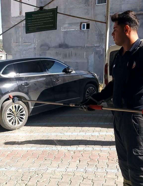 Hatay’da yerleşim alanlarına giren yılanları itfaiye yakaladı (Fotoğraflı) Ferit Savaş HATAY (İHA) - Hatay’da 2 farklı noktada yerleşim alanına giren yılanlar itfaiye ekipleri tarafından yakalanarak doğaya bırakıldı. Havaların ısınmasıyla birlikte Hatay’da yerleşim yerlerinde sıklıkla yılanlar görülmeye başlandı. Altınözü ve Arsuz ilçelerinde yerleşim yerlerinde yılan görüldü. İhbar üzerine itfaiye ekipleri yılanı yakaladı. Yılanlar, ekiplerin titiz çalışması sonucu zarar verilmeden yakalandı. Yakalanan yılanlar, doğal yaşam alanlarına bırakıldı.