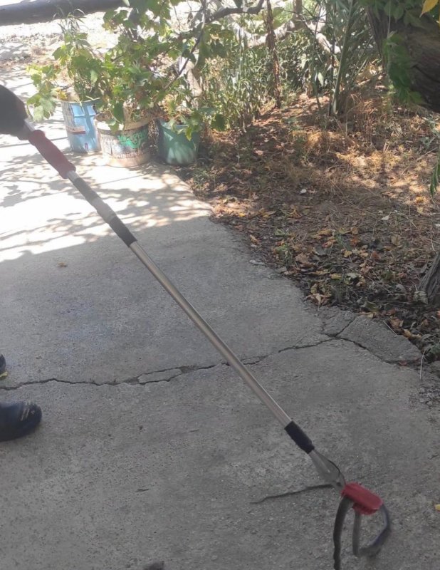 Hatay’da yerleşim alanlarına giren yılanları itfaiye yakaladı (Fotoğraflı) Ferit Savaş HATAY (İHA) - Hatay’da 2 farklı noktada yerleşim alanına giren yılanlar itfaiye ekipleri tarafından yakalanarak doğaya bırakıldı. Havaların ısınmasıyla birlikte Hatay’da yerleşim yerlerinde sıklıkla yılanlar görülmeye başlandı. Altınözü ve Arsuz ilçelerinde yerleşim yerlerinde yılan görüldü. İhbar üzerine itfaiye ekipleri yılanı yakaladı. Yılanlar, ekiplerin titiz çalışması sonucu zarar verilmeden yakalandı. Yakalanan yılanlar, doğal yaşam alanlarına bırakıldı.