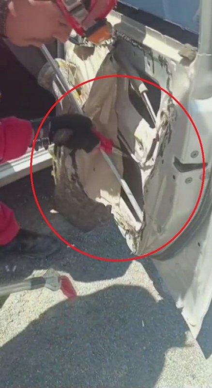 Aracına binerken fark ettiği yılanı itfaiye ekipleri yakaladı (Fotoğraflı - Görüntülü) Aykut Taştan HATAY (İHA) - Hatay'ın Antakya ilçesinde park halindeki aracın ön kapısına giren yılan, itfaiye ekipleri tarafından yakalandı. Antakya ilçesi Saraycık Mahallesi'nde park halindeki aracın ön kapısına yılan girdi. Aracında yılan olduğunu gören sürücü durumu 112 Acil Çağrı Merkezi'ne bildirilmesi üzerine olay yerine itfaiye ekipleri sevk edildi. Kısa sürede bölgeye gelen Hatay Büyükşehir Belediyesine bağlı itfaiye ekipleri, aparat yardımıyla yılanı yakaladı. Ekipler tarafından yakalan yılan, doğal yaşam alanına bırakıldı.