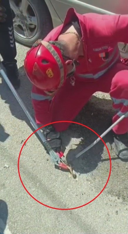 Aracına binerken fark ettiği yılanı itfaiye ekipleri yakaladı (Fotoğraflı - Görüntülü) Aykut Taştan HATAY (İHA) - Hatay'ın Antakya ilçesinde park halindeki aracın ön kapısına giren yılan, itfaiye ekipleri tarafından yakalandı. Antakya ilçesi Saraycık Mahallesi'nde park halindeki aracın ön kapısına yılan girdi. Aracında yılan olduğunu gören sürücü durumu 112 Acil Çağrı Merkezi'ne bildirilmesi üzerine olay yerine itfaiye ekipleri sevk edildi. Kısa sürede bölgeye gelen Hatay Büyükşehir Belediyesine bağlı itfaiye ekipleri, aparat yardımıyla yılanı yakaladı. Ekipler tarafından yakalan yılan, doğal yaşam alanına bırakıldı.