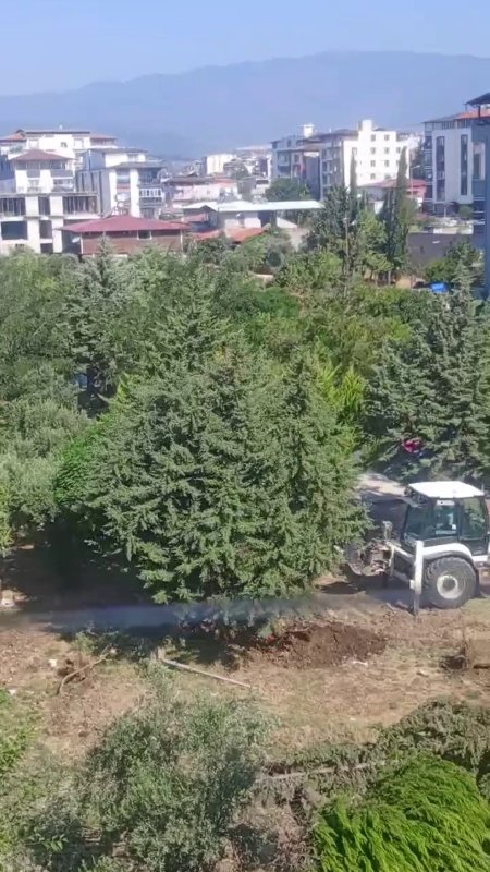Hatay'da Parktaki ağaç katliamına tepki Parktaki ağaçların sökülmesine vatandaşlardan tepki HATAY (İHA) - Hatay'da taziye evi yapılacağı söylenerek Defne Belediyesi ekiplerince park içerisindeki çam ağaçlarının iş makinesiyle sökülmesine depremzede vatandaşlar tepki gösterdi. Deprem sonrası sosyal ve yeşil alanların eksikliğine dikkat çeken Necla Özdemir, "Depremden çıktık artık yaşamak istiyoruz, her yer gitmiş bari ağaçlara dokunmasınlar" dedi. Defne ilçesi 474. Sokak üzerinde bulunan yeşil alana taziye evi yapılacağı söylenerek Defne Belediyesi iş makineleri ve ekipleri tarafından 8 çam ağacı söküldü. Duruma tepki gösteren vatandaşlar, ekiplerin ağaçları iş makineleriyle sökmelerinin önüne geçmek amacıyla müdahale ettiler. Sökülen ağaçlar, kamyonlara yüklenerek bölgeden götürüldü. Depremin ardından bölgede sosyal ve yeşil alan sayısının azaldığına dikkat çeken vatandaşlar, Defne Belediyesi'ne seslenerek yapılacağı söylenen taziye evinin başka bir noktaya yapılmasını talep ettiler. "Biz bir ağaç dikmek için neler yapıyoruz ve şimdi burada katliam yapıyorlar" Ağaçların sökülmesine tepki gösteren Semira Şah, "Burada çam ağaçları vardı, kocaman kocaman zeytin ağaçlarımızda vardı. Muhtar sabah göndermiş iş makinelerini koparmış ağaçları. Mahalle sakinlerinin haberi olmadan ağaçları sökmüşler. Buraya taziye evi yapılmak isteniyor ama biz istemiyoruz. Bütün komşular karşı sadece ben değilim. Ağaç bir nefestir, nefesimizi kesiyorlar. Biz bir ağaç dikmek için neler yapıyoruz ve şimdi burada katliam yapıyorlar. Burası ağaç doluydu, şu an boş. Bu bir katliamdır, parkımız ve ağaçlarımız bize yeter. Zaten ağaç kalmadı ama biz buraya ağaç dikeceğiz" dedi. Çocukların parkta vakit geçirerek sosyalleştiğine dikkat çeken anne Necla Özdemir, depremin ardından bölgedeki yeşil alanların yetersizliğine dikkat çekerek "Burada 8 ağaç vardı. Sabah 09.00 sıralarında uyandım ve dışarı çıkıp baktım. Kepçe ağaçları deviriyordu. Eşim aşağıya indi, ben de kayda aldım. Birkaç kişi inene kadar devirdiler ağaçları, biz durduktan sonra ağaçları sökmeyi bıraktılar. Kamyona doldurdular ve bırakıp gittiler. Defne Belediyesi personeli ve belediyeye ait araçlardı. Buraya taziye evi yapılacakmış, biz taziye evi istemiyoruz. Burası park, yeşillik ve şehrimiz depremden etkilenmiş. Çocuklarımız rahat etsin diye konteynerden geldik. Çocuklarım şurada rahat nefes alıyor, oynuyor. Depremden çıktık artık yaşamak istiyoruz, her yer gitmiş bari ağaçlara dokunmasınlar. 8 ağacı koparıp gittiler, biz müdahale etmesek daha keseceklerdi. Ağaçları Defne Belediyesi personeli kopardı" dedi. Öte yandan Çekmece Mahalle Muhtarı Ali Kaya, proje alanından sökülen ağaçların başka alana taşınacağını ifade ederek taziye evinin vatandaş talebi olduğunu söyledi.