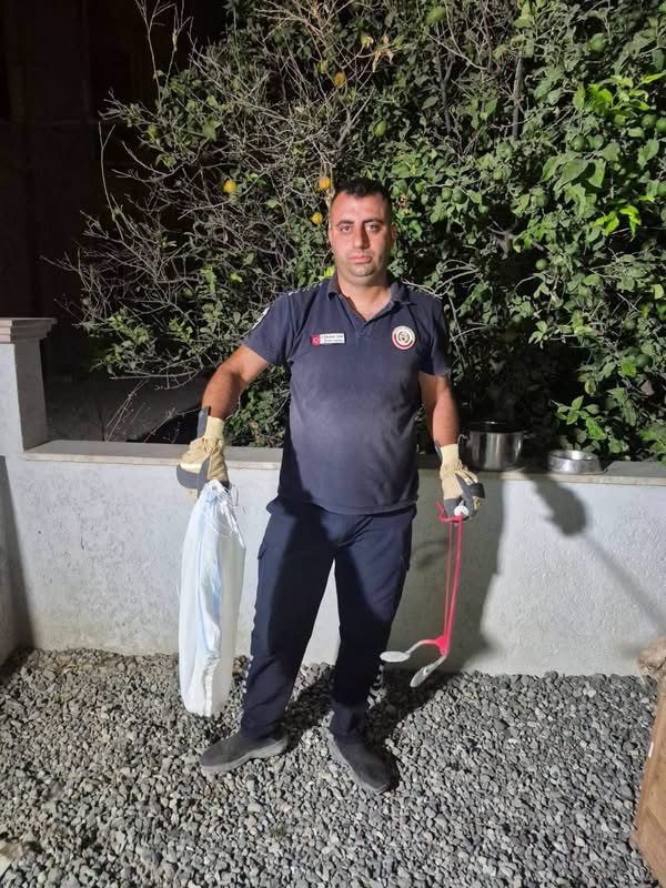 Hatay'da eve giren yılanları itfaiye yakaladı (Fotoğraflı) İlayda Korkmaz HATAY (İHA) - Hatay’ın Arsuz ve Altınözü ilçelerinde yerleşim yerlerinde görülen yılanlar, itfaiye ekipleri tarafından yakalanarak doğaya bırakıldı. Havaların ısınmasıyla birlikte yerleşim yerlerinde görülen yılanlar için ekipler çalışma gerçekleştirdi. Arsuz ve Altınözü ilçelerinde evlere giren yılanlar için itfaiye çalışma yaptı. Yapılan müdahalelerde yakalanan yılanlar, güvenli şekilde yakalandı. Yılanlar, herhangi bir zarar verilmeden doğal yaşam alanlarına bırakıldılar.
