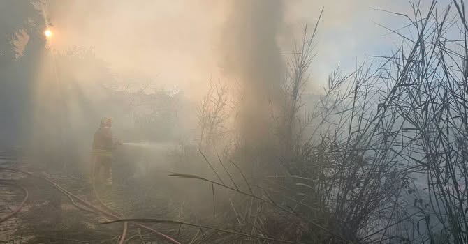 HATAY'DA SAZLIK ALAN YANGINI