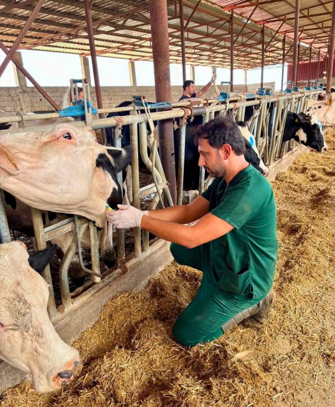 ARSUZ'DA ARİ İŞLETMEYE SIKI DENETİM