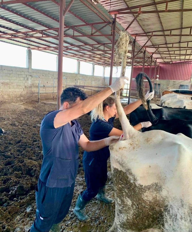 ARSUZ'DA ARİ İŞLETMEYE SIKI DENETİM