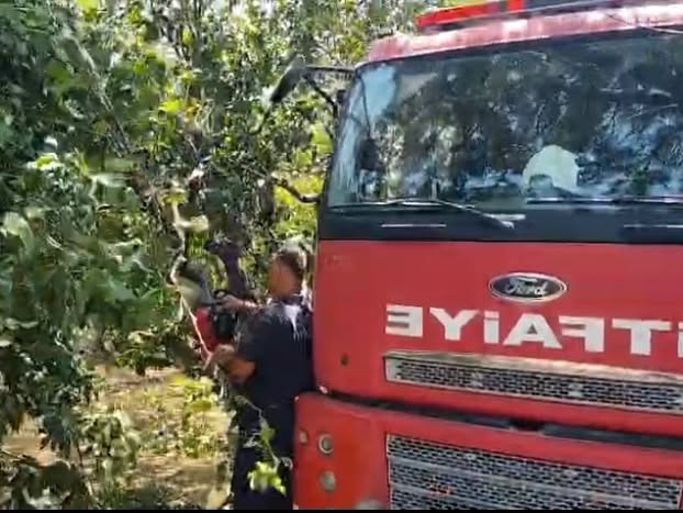 BALIKLIDERE'DE ÇÖPLÜK ALAN YANDI 