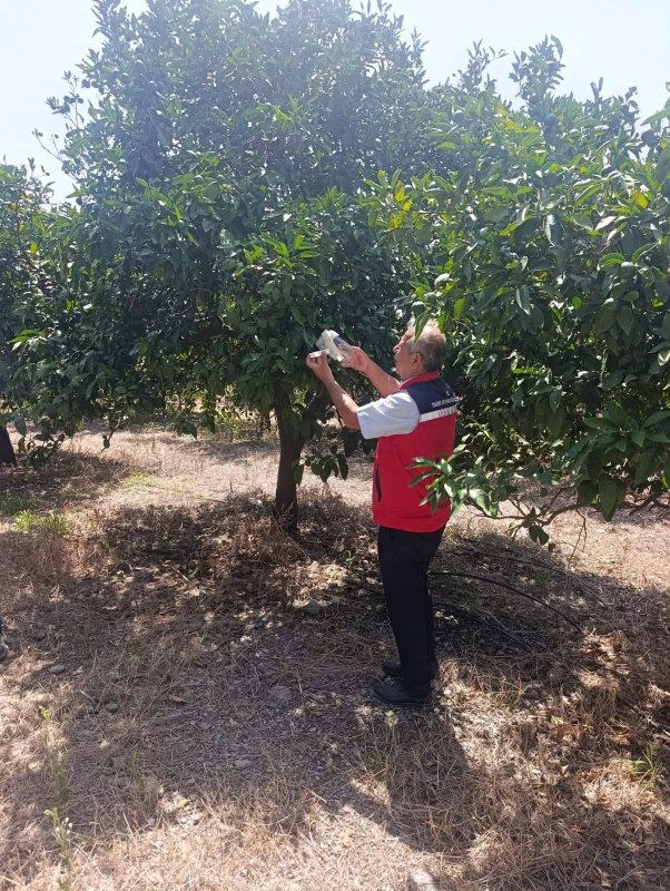 Hatay Tarım ve Orman İl Müdürlüğü,