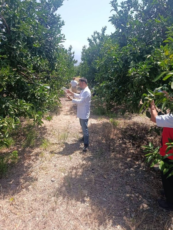 Hatay Tarım ve Orman İl Müdürlüğü,